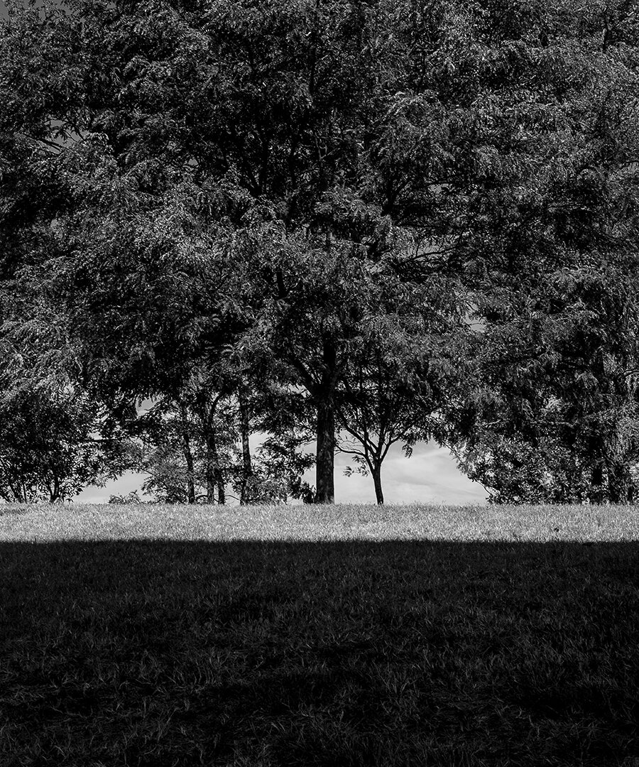 © David Gary Lloyd - Horizon - IMG_2139.jpg