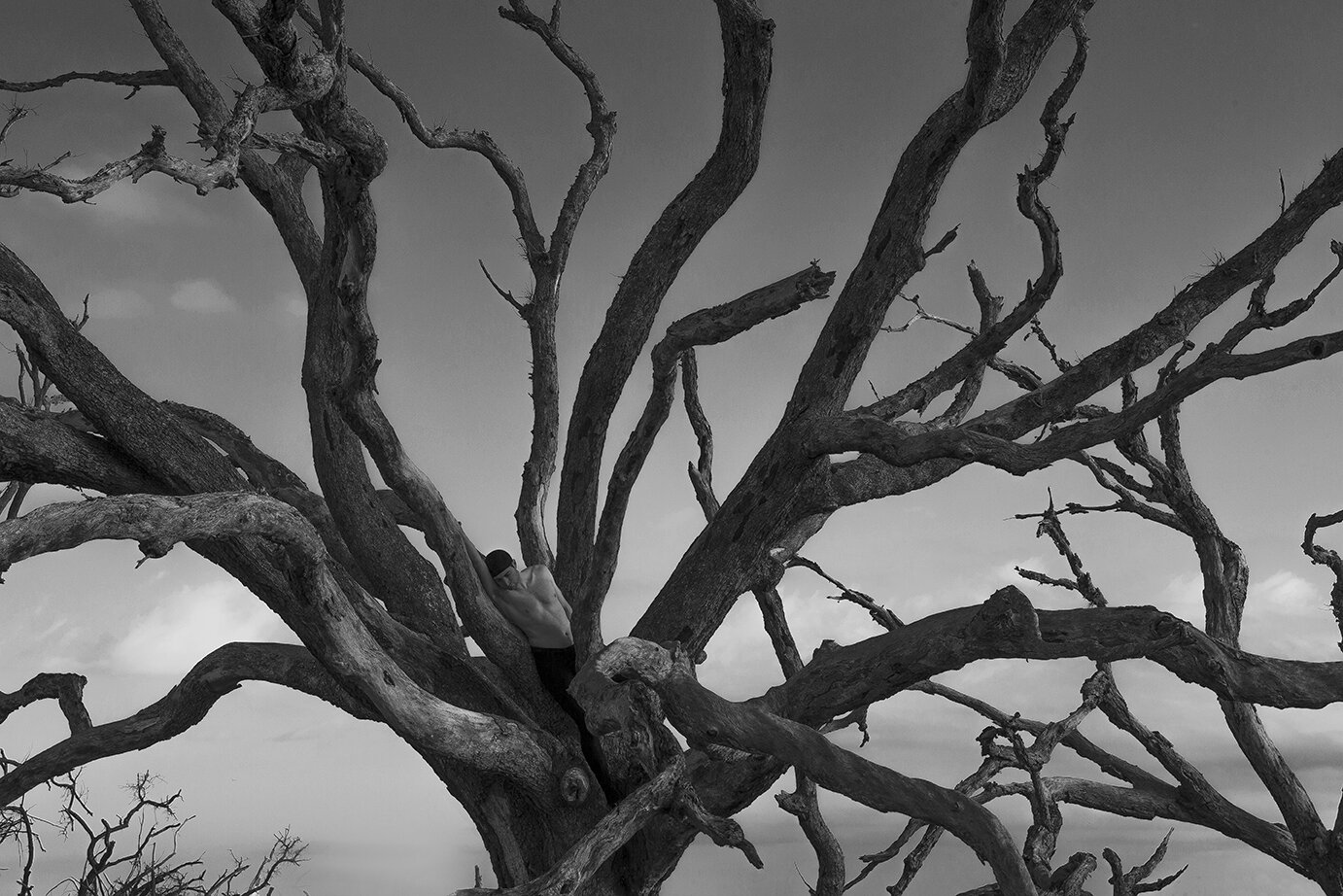 © David Gary Lloyd - IMG_3826-BW.jpg