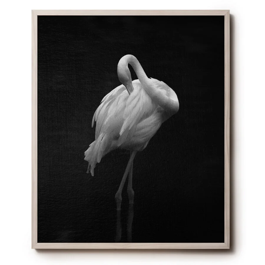 © David Gary Lloyd - 24 x 30 - Untitled4.jpg