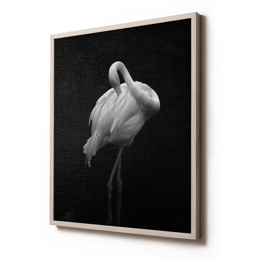 © David Gary Lloyd - 24 x 30 - Untitled4Side.jpg