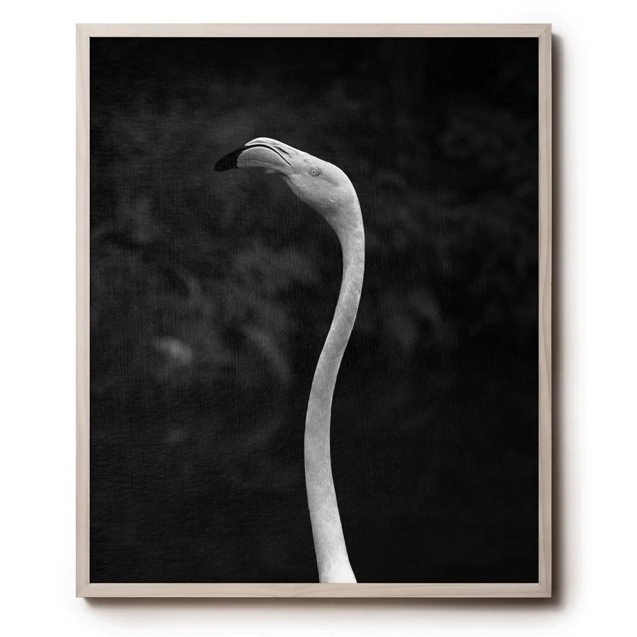 © David Gary Lloyd - 24 x 30 - Untitled5.jpg
