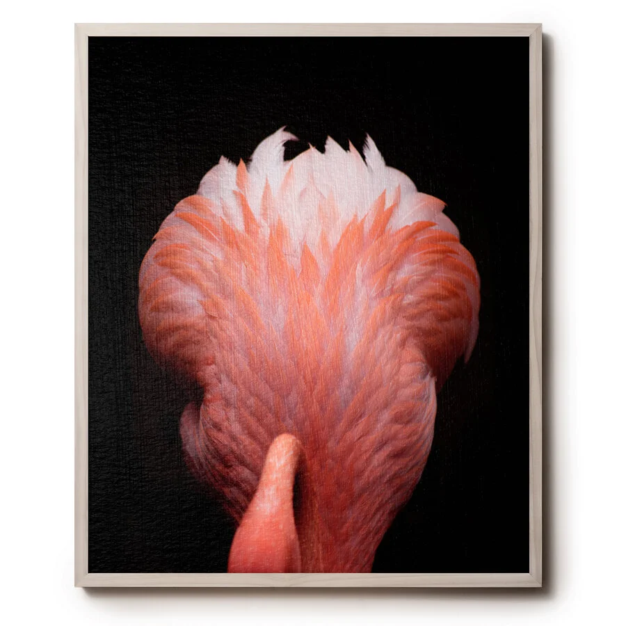 © David Gary Lloyd - 24 x 30 - Untitled7.jpg
