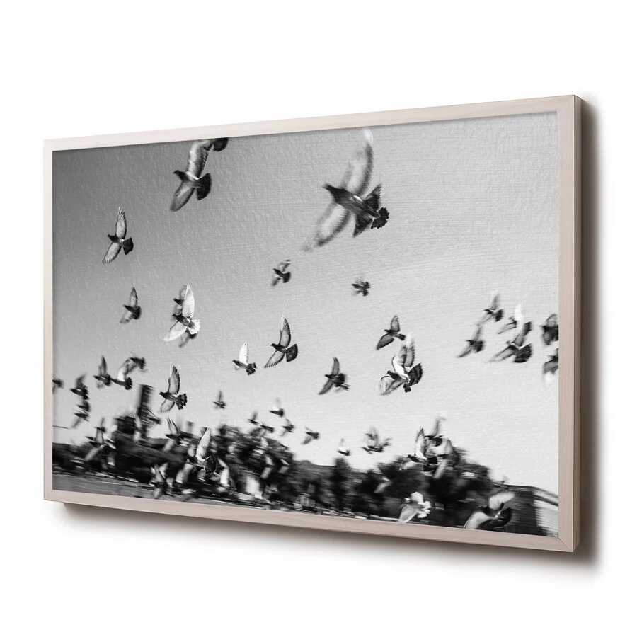© David Gary Lloyd - 30 x 24 - Flock Side.jpg
