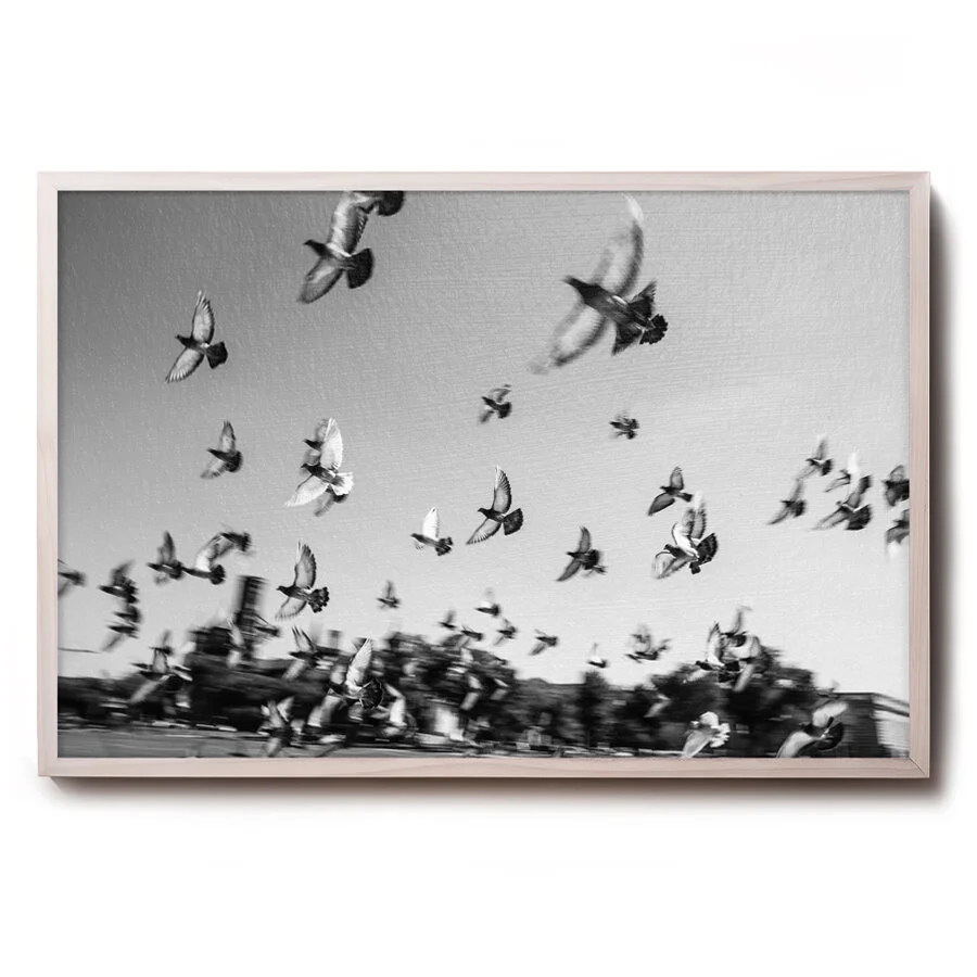 © David Gary Lloyd - 30 x 24 - Flock.jpg