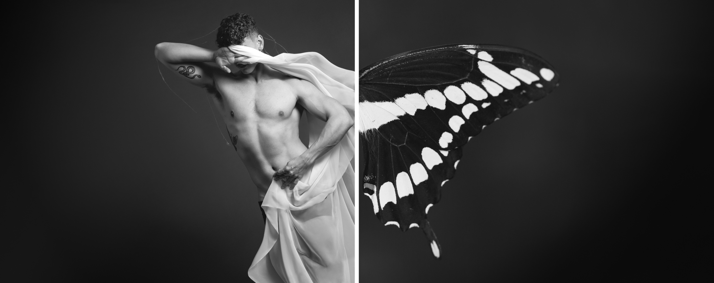 EliButterfly.png