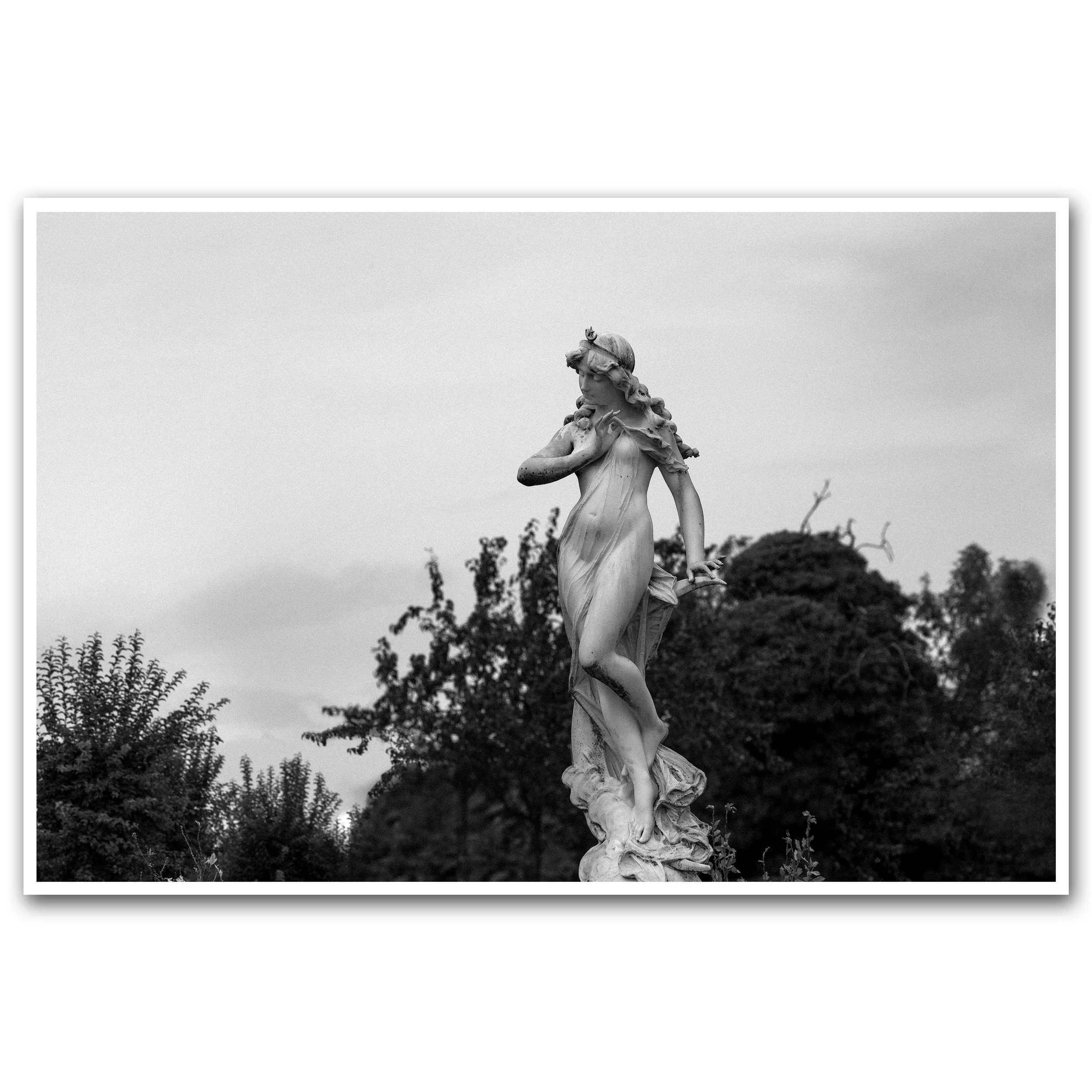 BORN OF MOON AND STARS