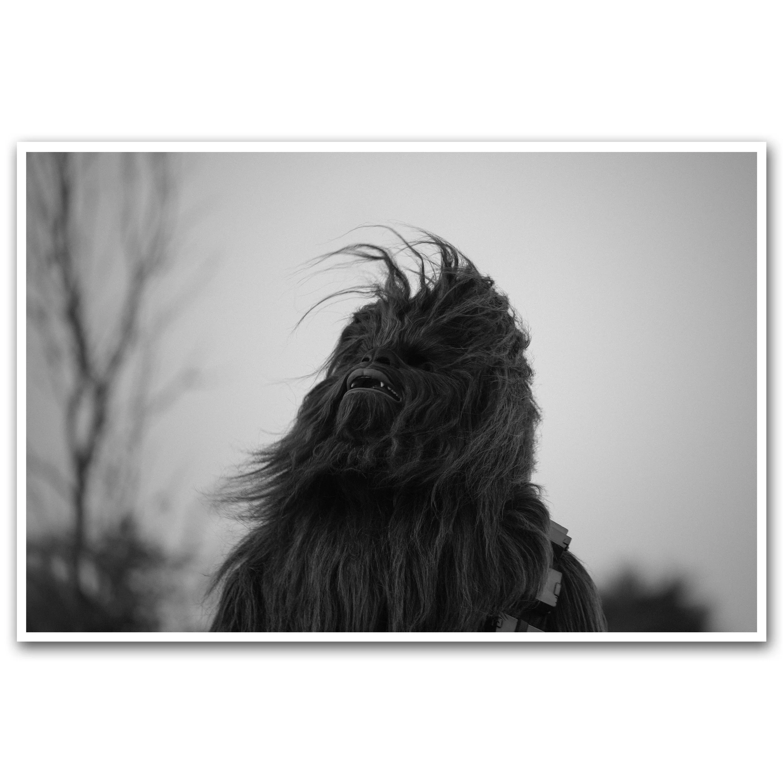 UNTITLED (FIGURE STUDY 104)