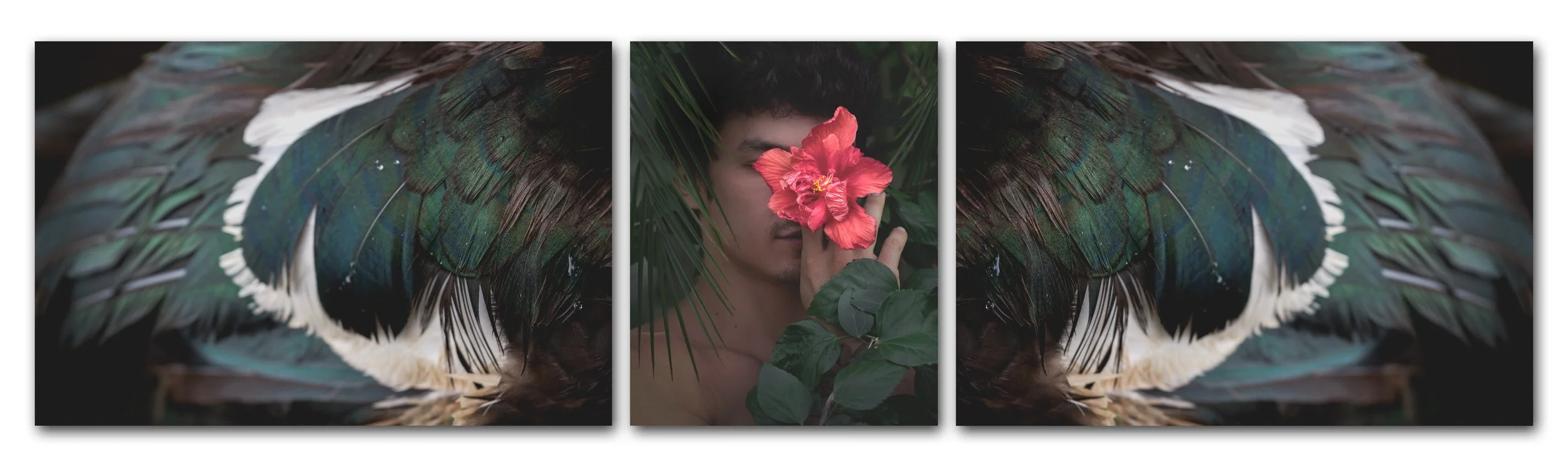HibiscusTriptych.jpg