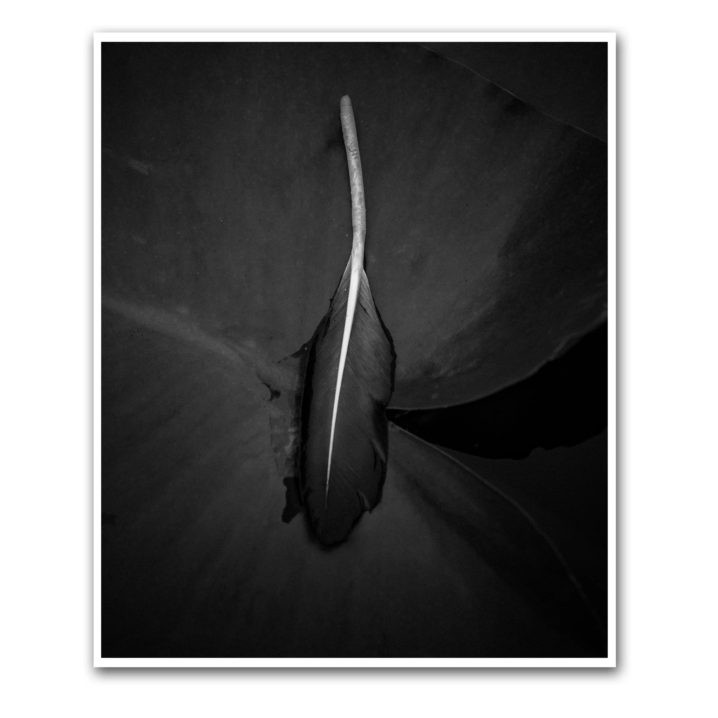 WHAT THE WIND CARRIED