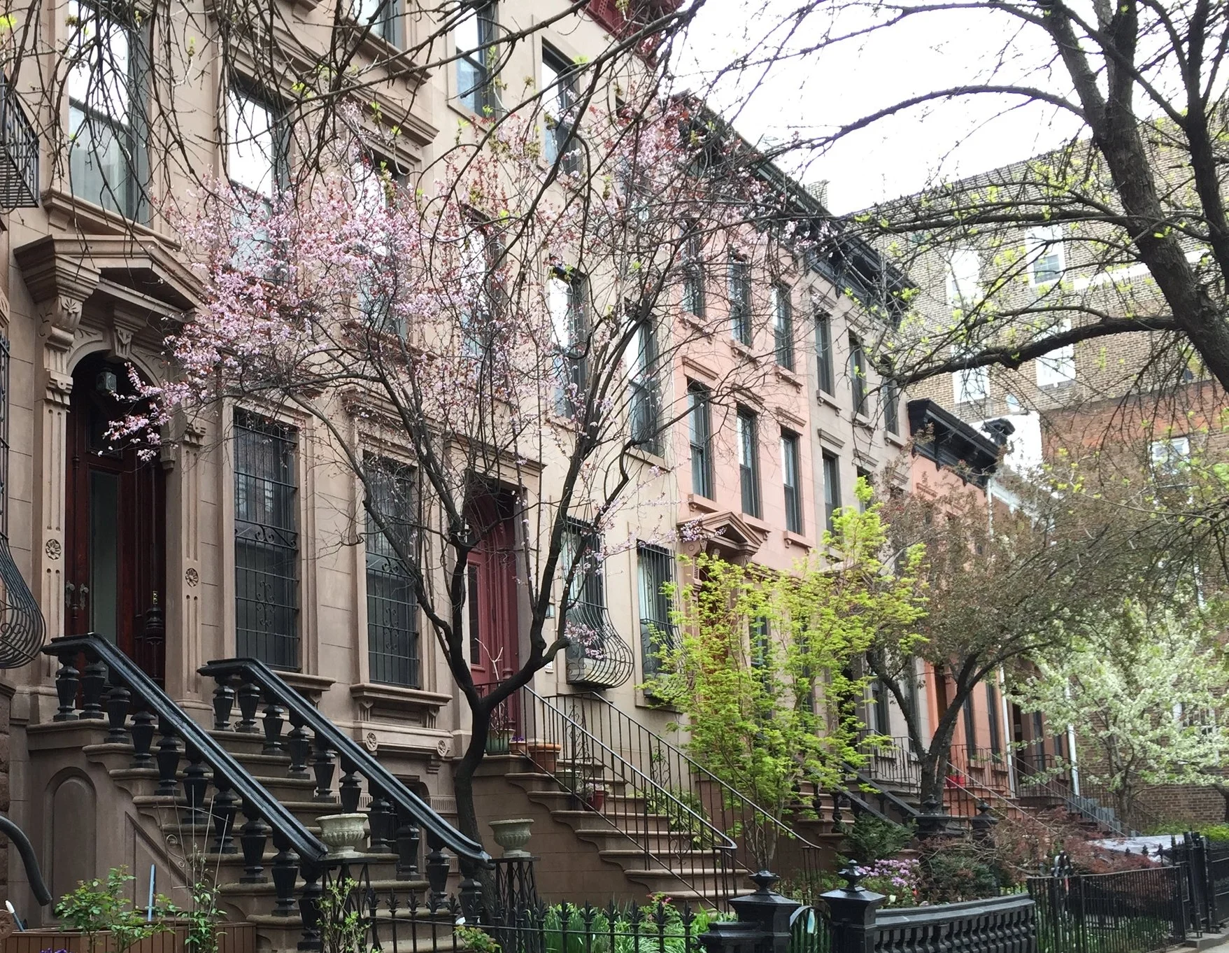 Prospect Heights, Molly M. Caldwell, 2014