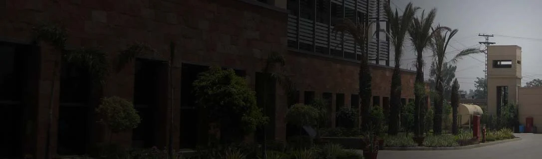 capacity building environment.jpg