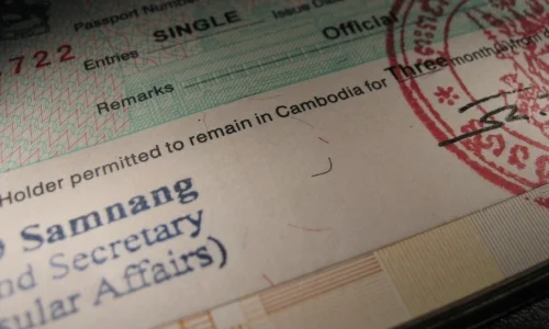 security feature - visible fibres in paper