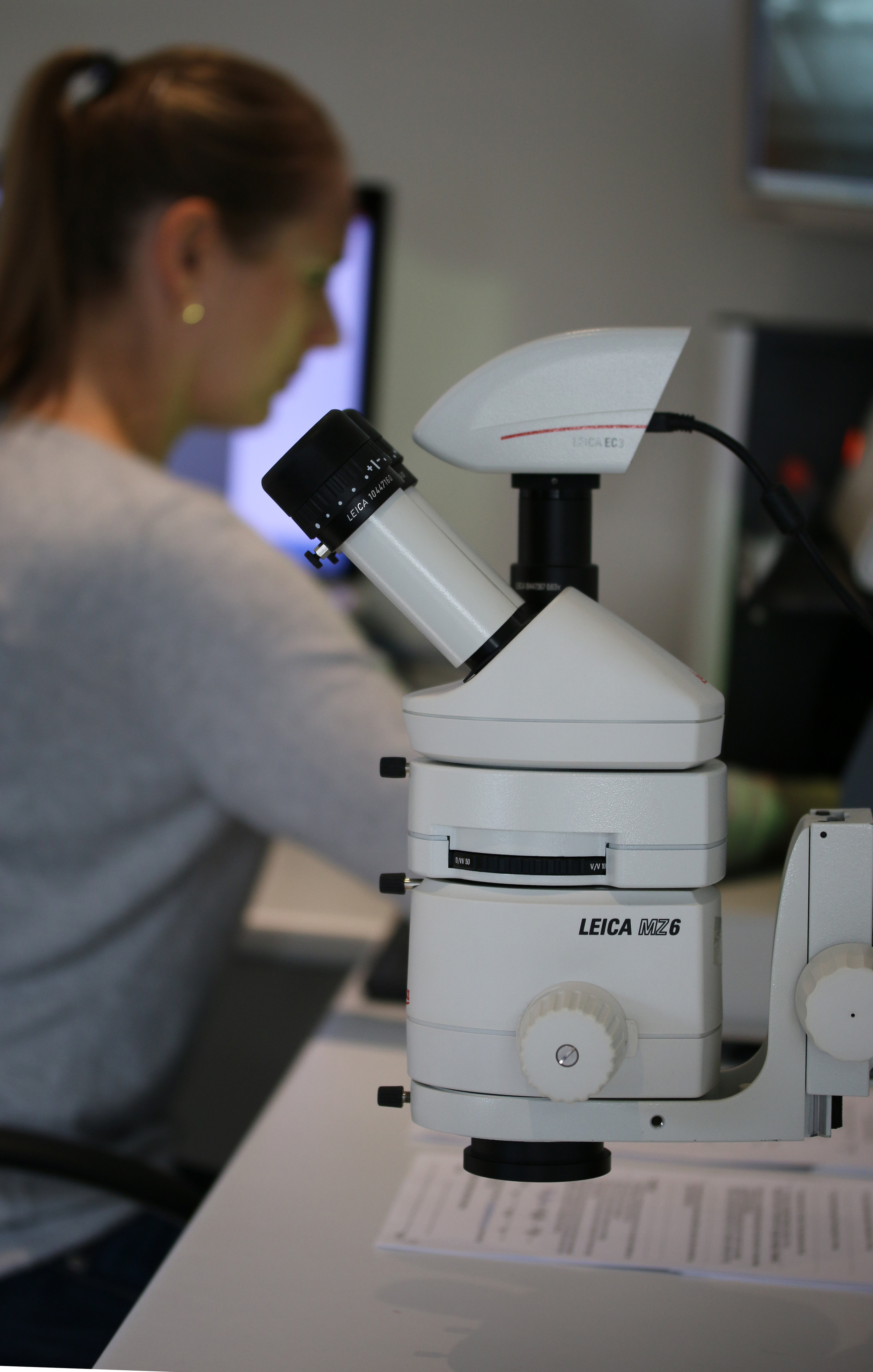 Document Examination Solutions Forensic Document Examiners and Educators