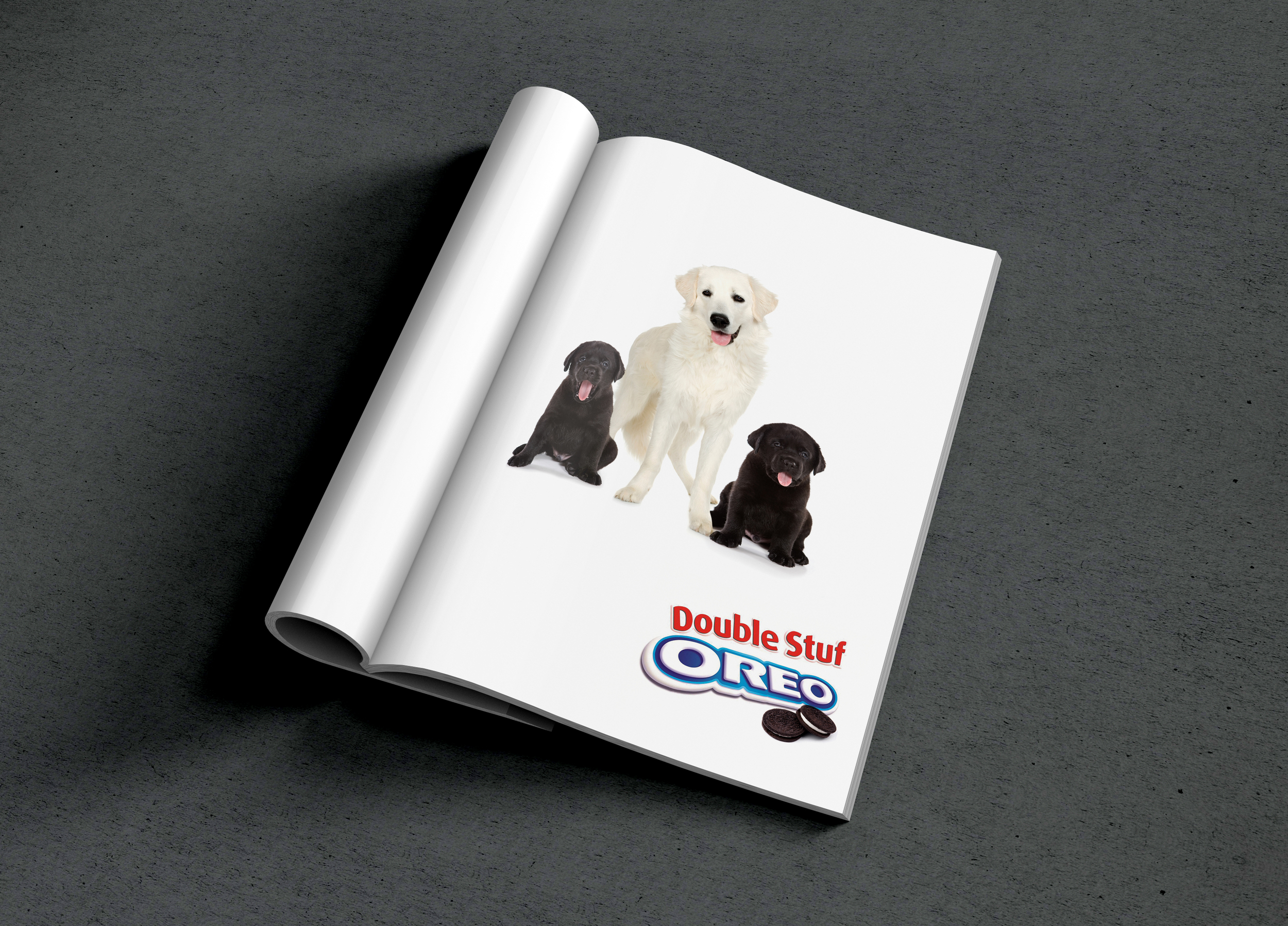 Dog-Magazine-Comp.jpg