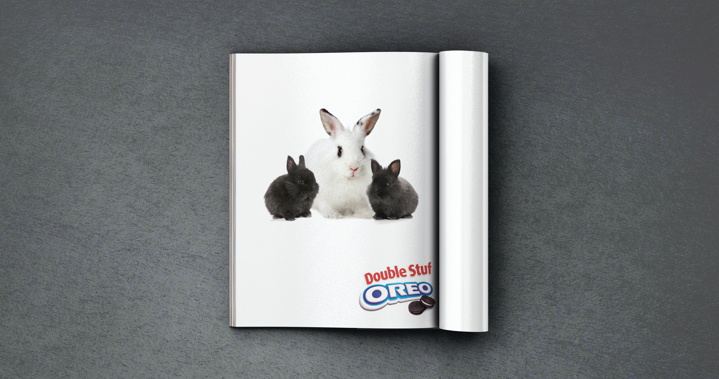 Bunny-Magazine-Comp.jpg