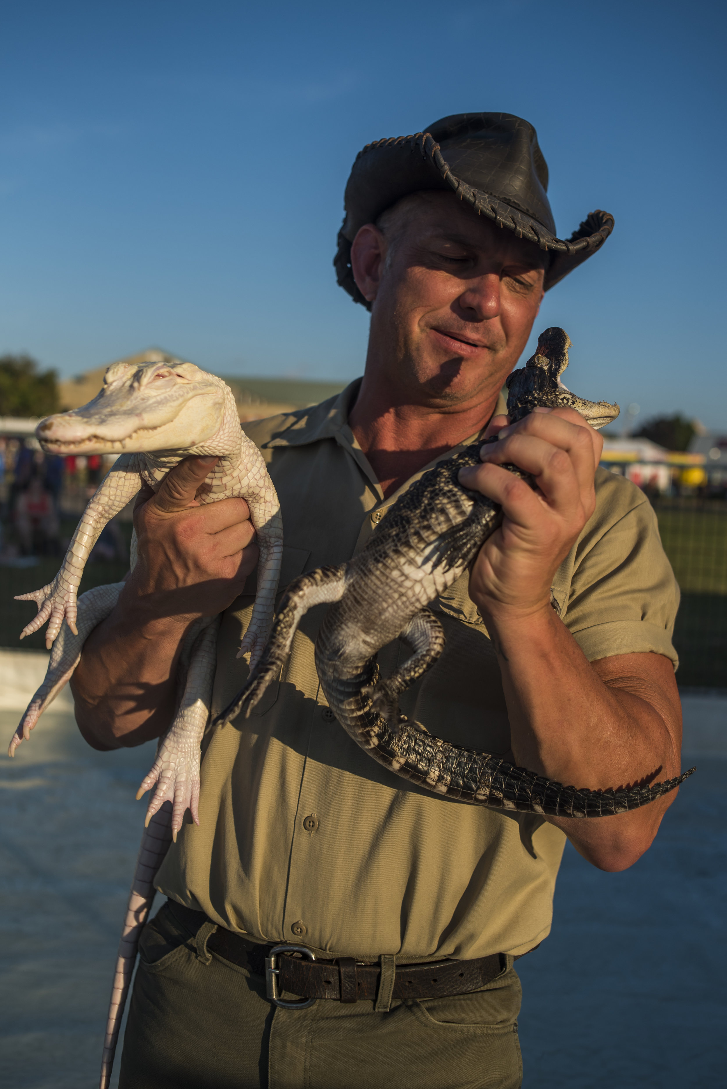   Bert, Alligator Wrangler. New York State Fair  