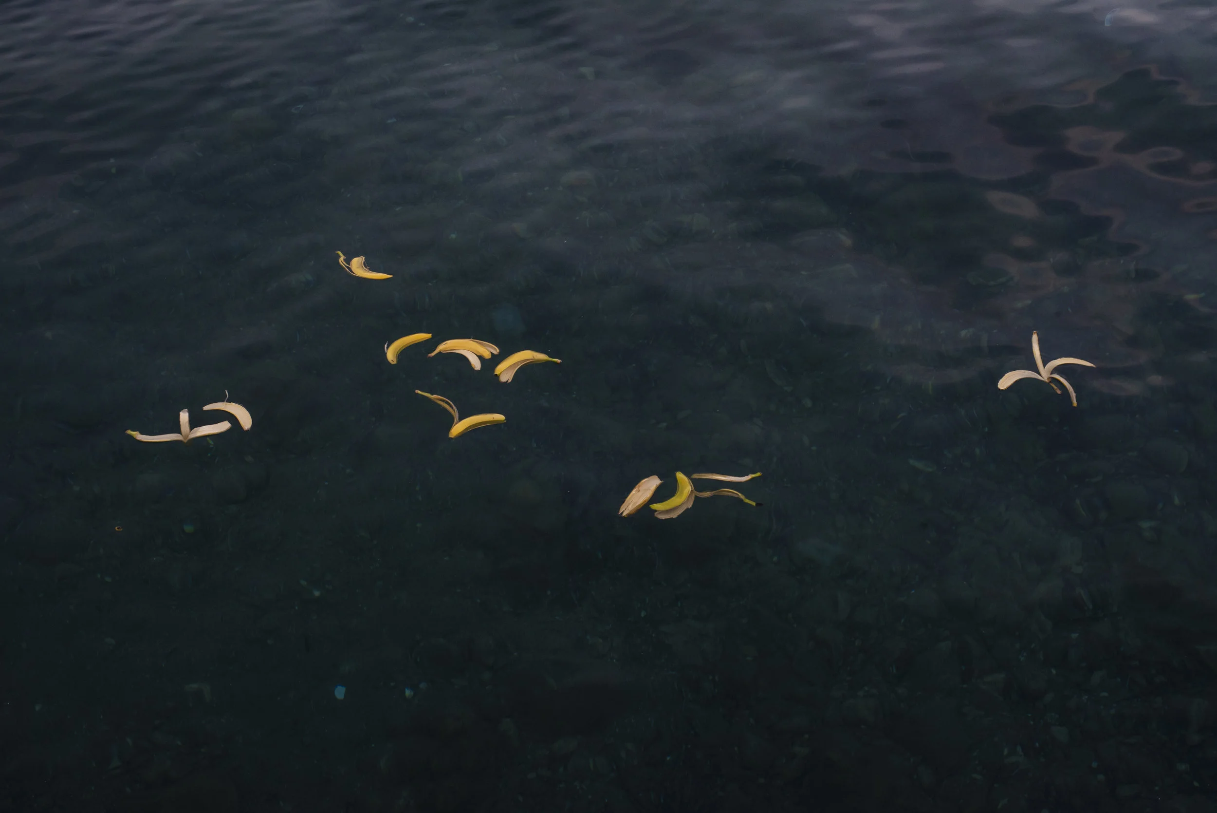 Thousands of lives have been lost at sea. Most peopled are packed into flimsy rubber dinghies. Many don't know how to swim nor how to operate a boat. Stories of human smugglers forcing refugees under threat of violence to board overcrowded boats is common.