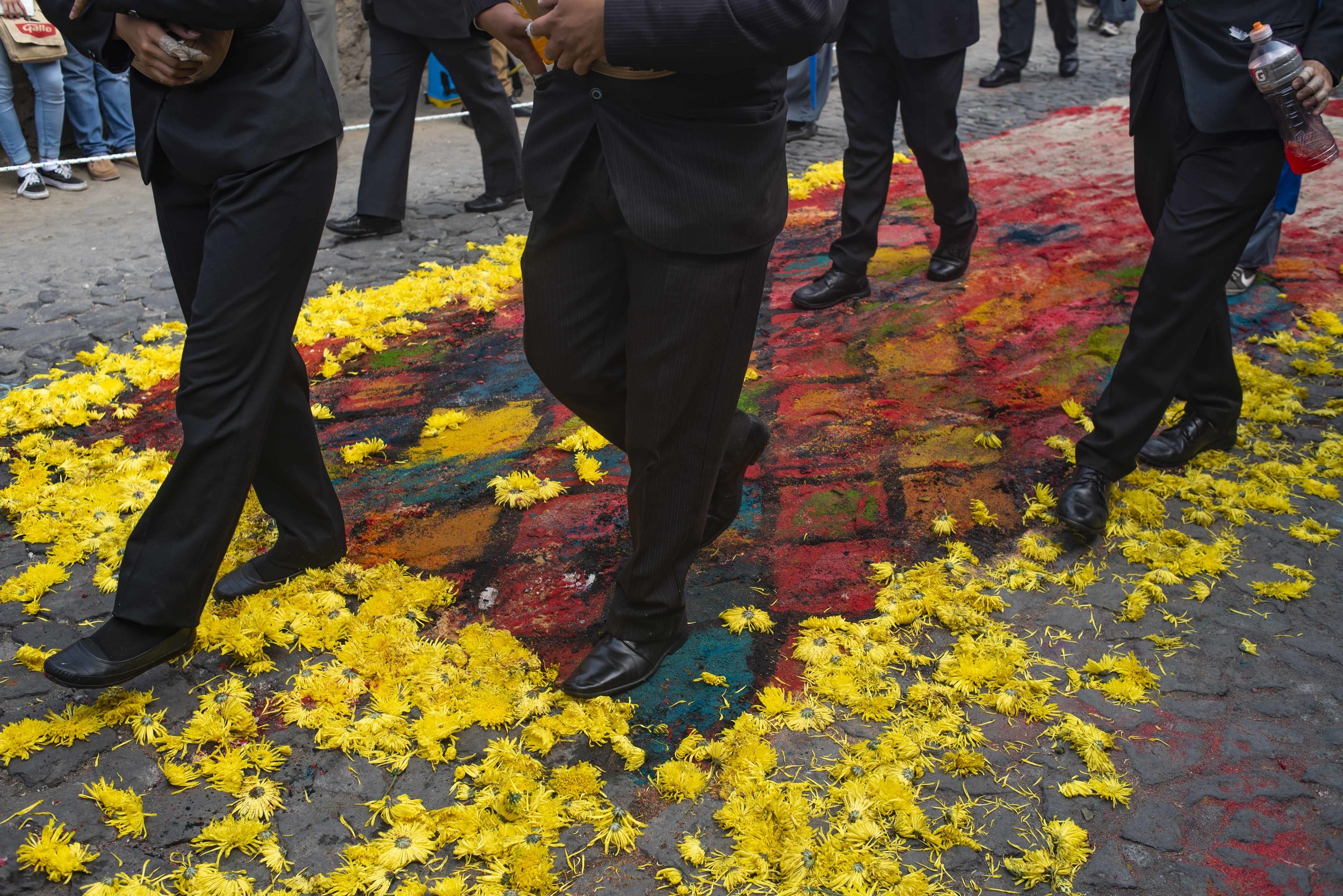 alfombra_sprankle_antigua_guatemala-24.jpg