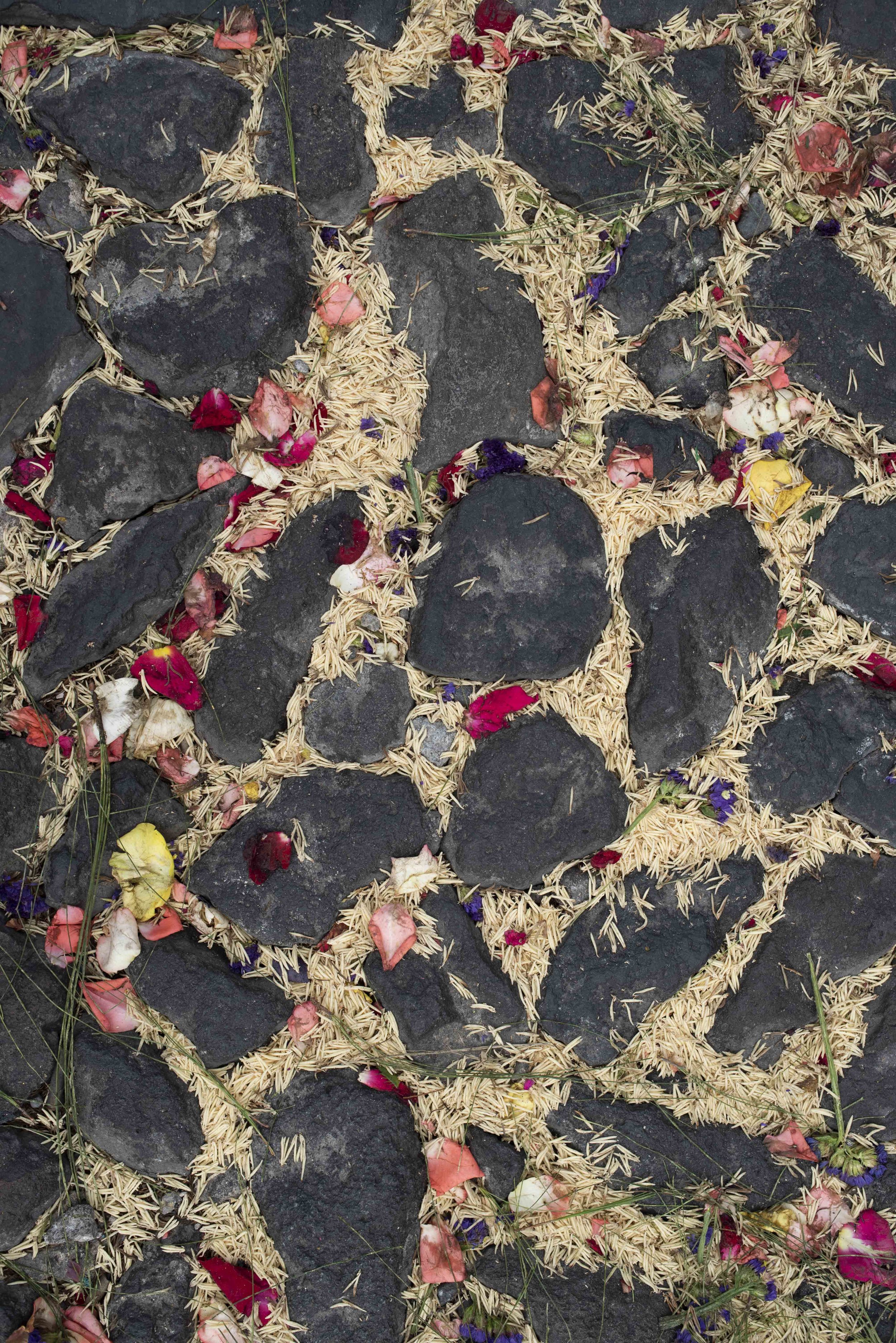 alfombra_sprankle_antigua_guatemala-26.jpg