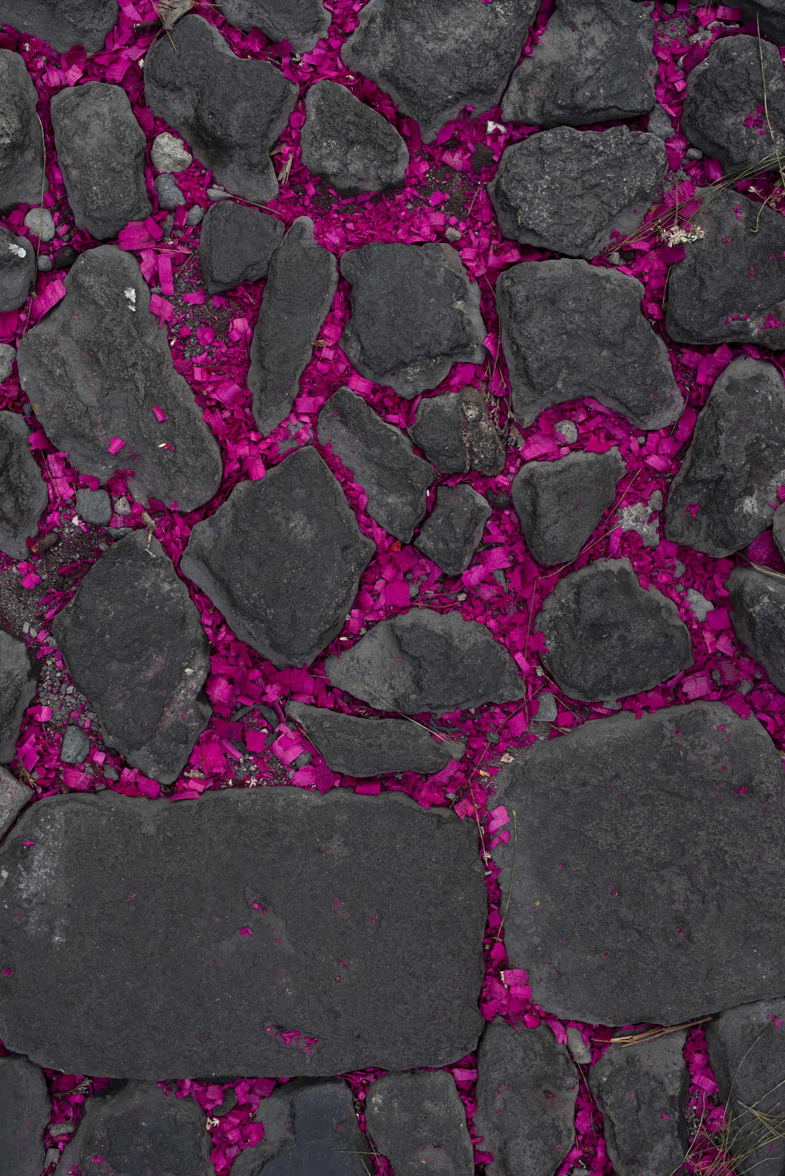 alfombra_sprankle_antigua_guatemala-27.jpg
