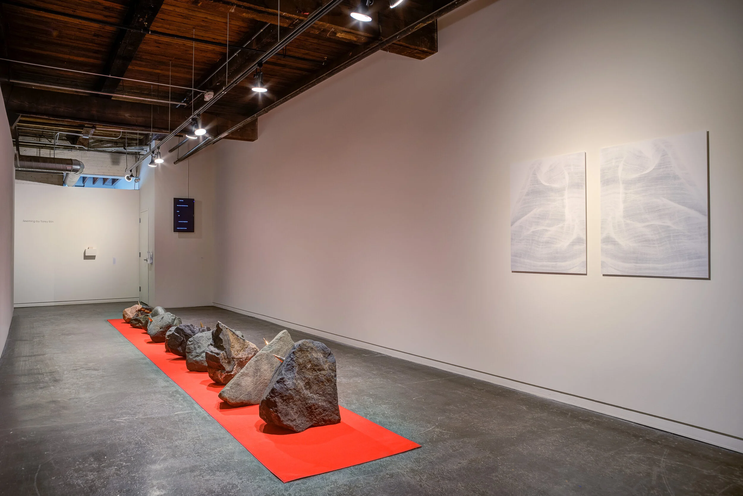 Torey Erin - Seeming - 2019-06_01.jpg