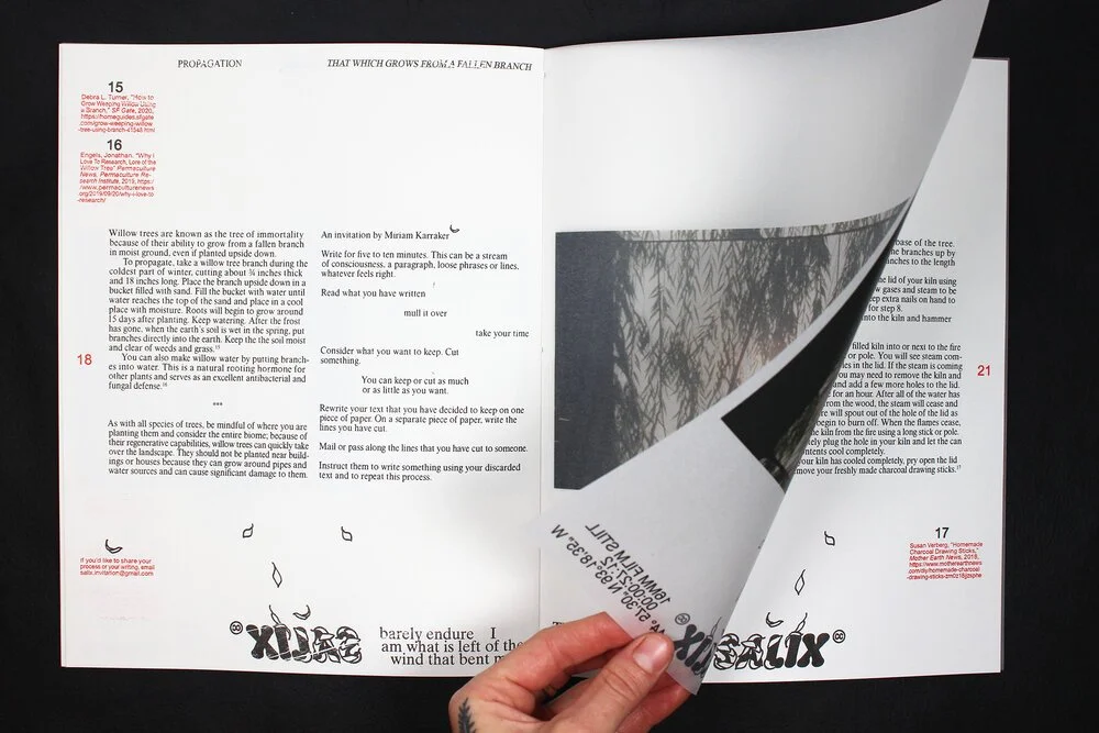  8.5x11” risograph print on paper, vellum, and wax thread 