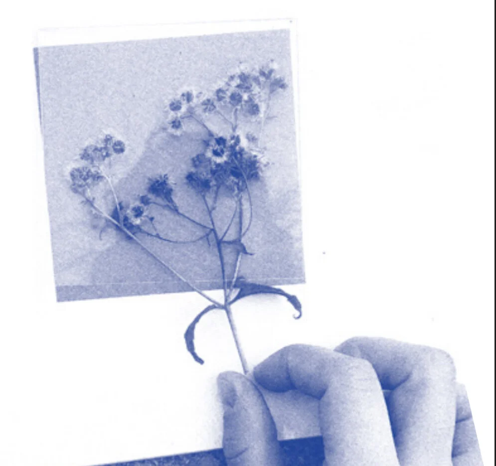 63BC93C8-44EA-4694-A682-9778717836F5