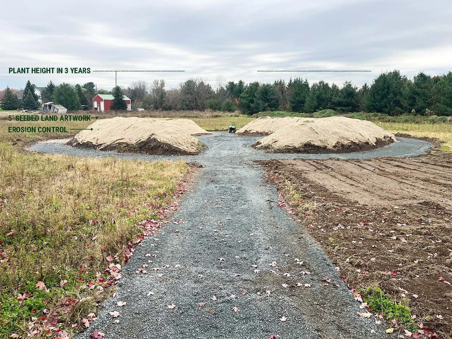 9_StarfieldSeedChoreographyIIHugelkulturlandform_Fall2025 copy.jpg