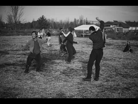 Starfield: Seed Choreography