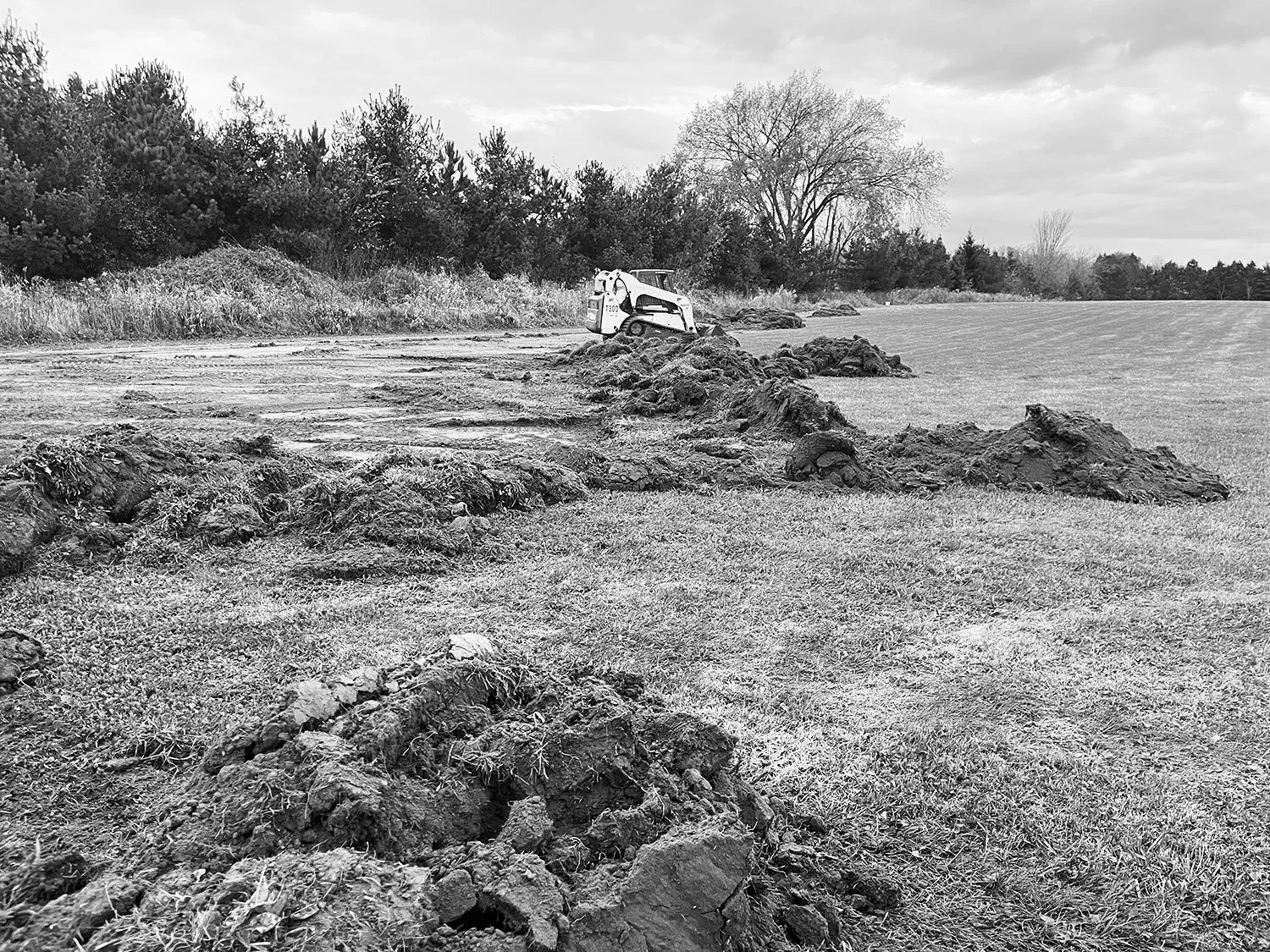 3_StarfieldSeedChoreographyTurfGrassRemoval.jpg