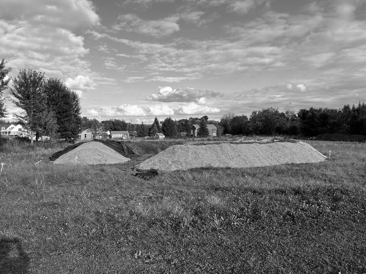 IMG_1458 Large.png