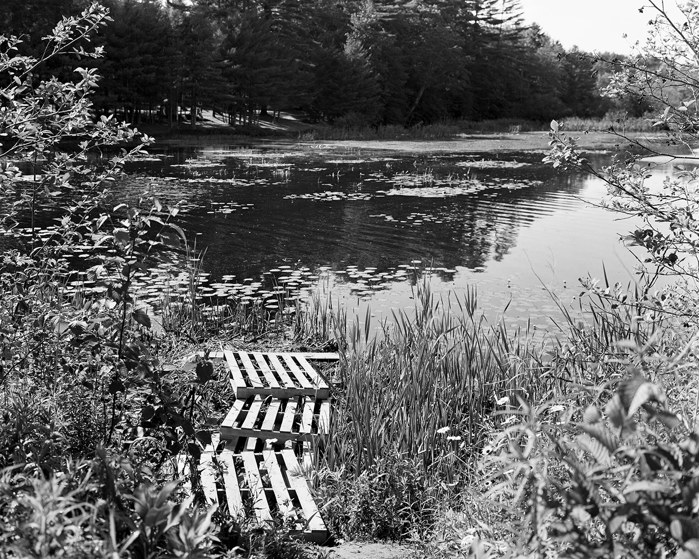 Chickawaukie Pond