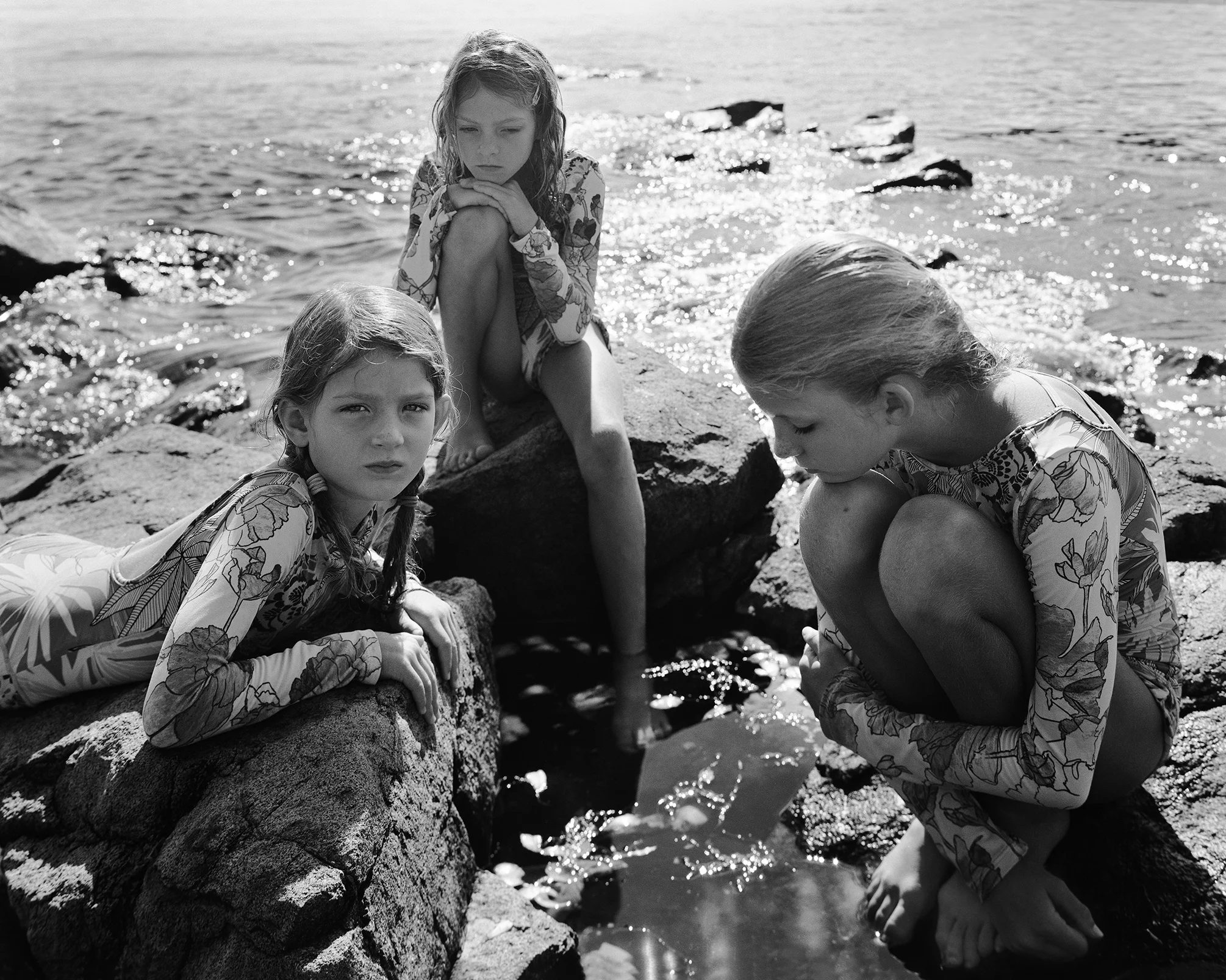 Honey, Minnow & B. Monhegan Island
