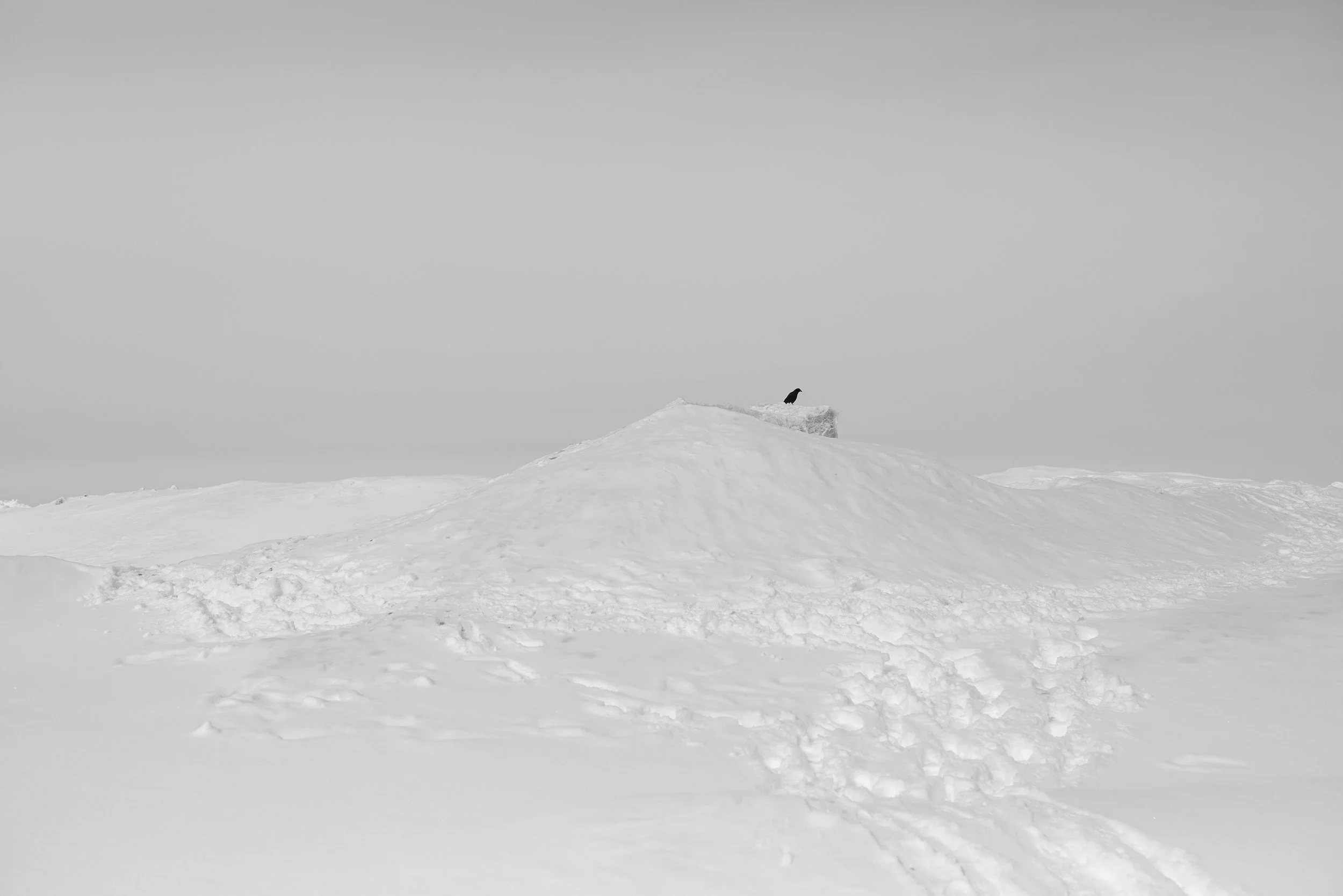crow_lake_erie.jpg