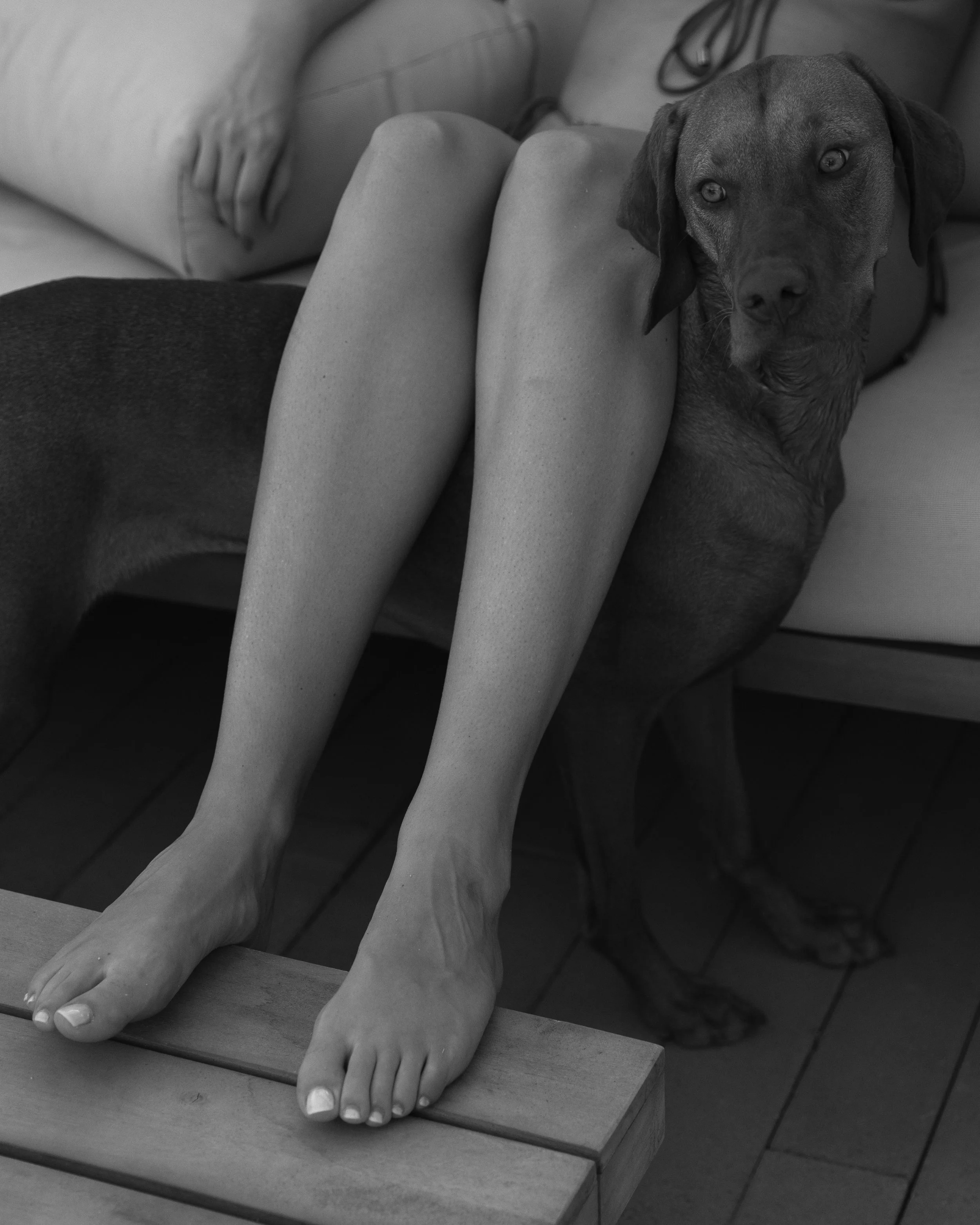 4-legs.jpg