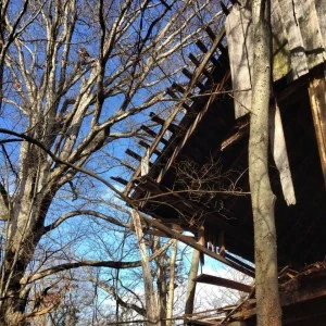 The roof was still intact.