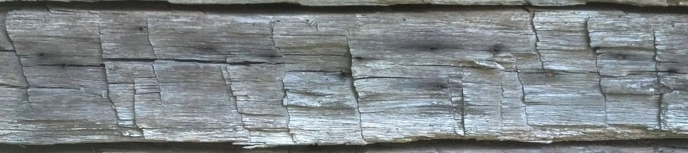 IMG_20130816_122630_302.jpg