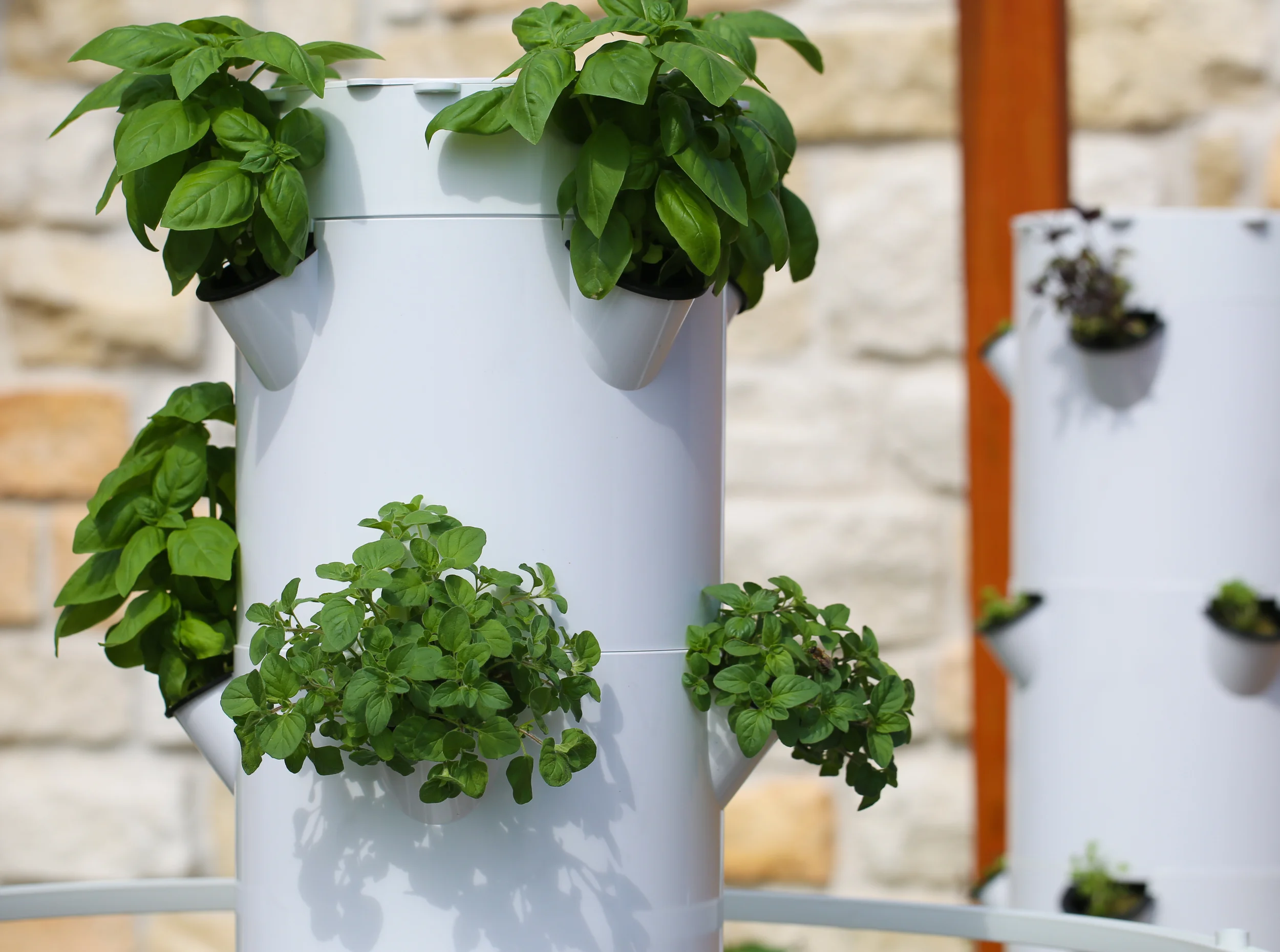 eculent's Tower Gardens