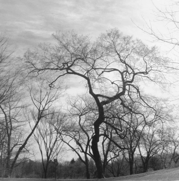 Untitled 1, 2002, 9.75" X 9.75"