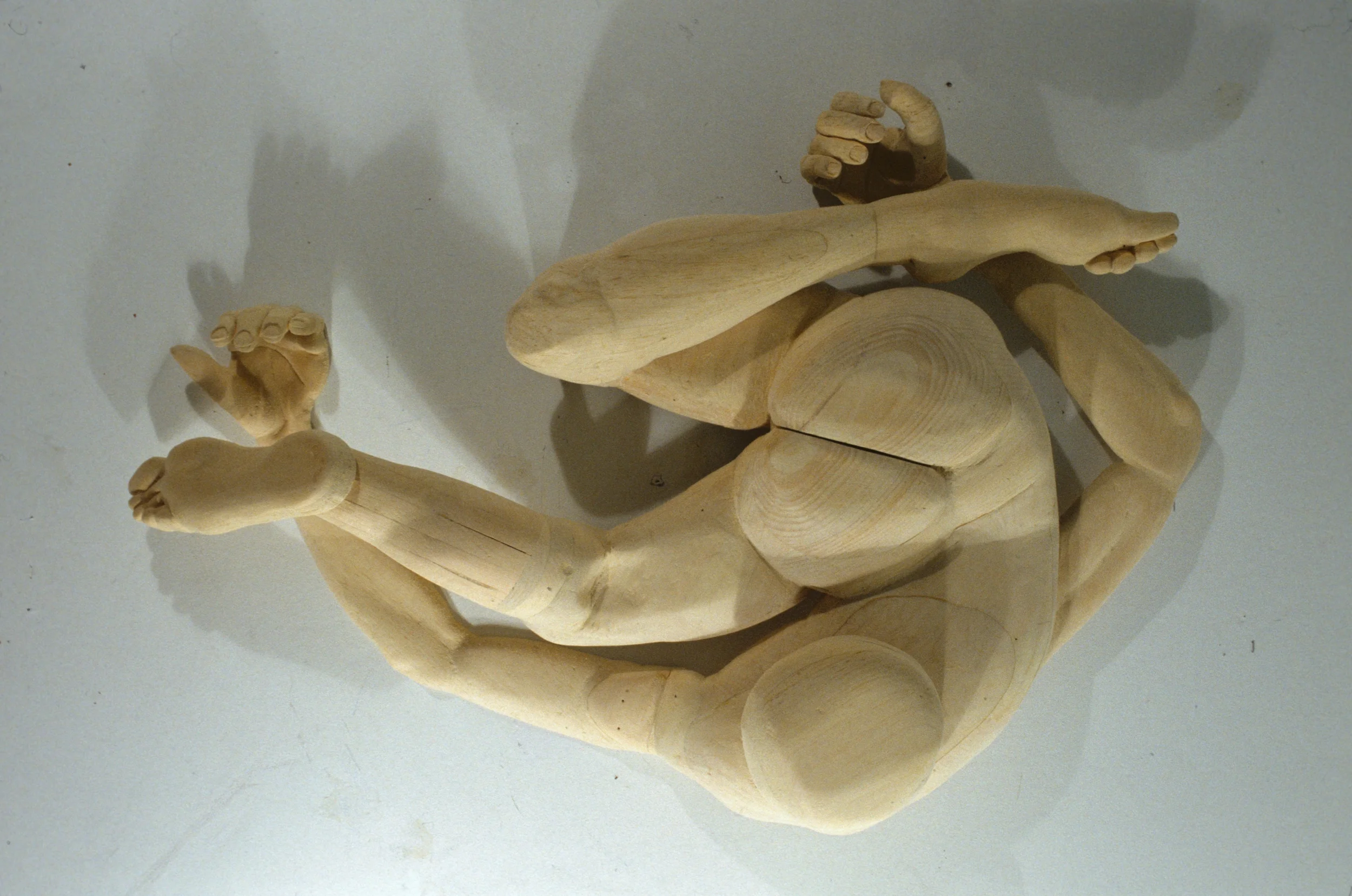 Wood_Contort2_Sculpture_026.jpg