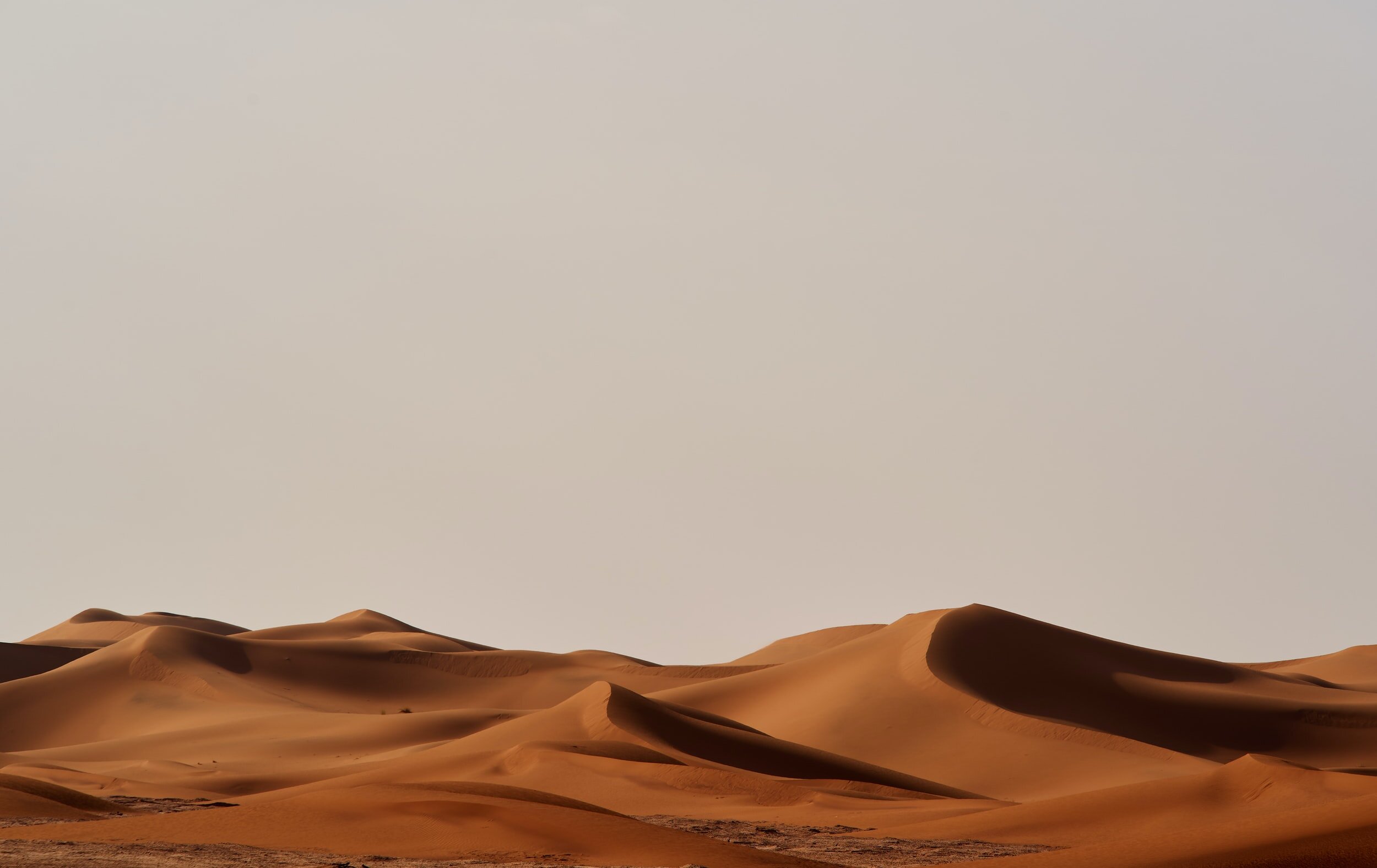 unsplash-image-t2v38R5QqLI.jpg