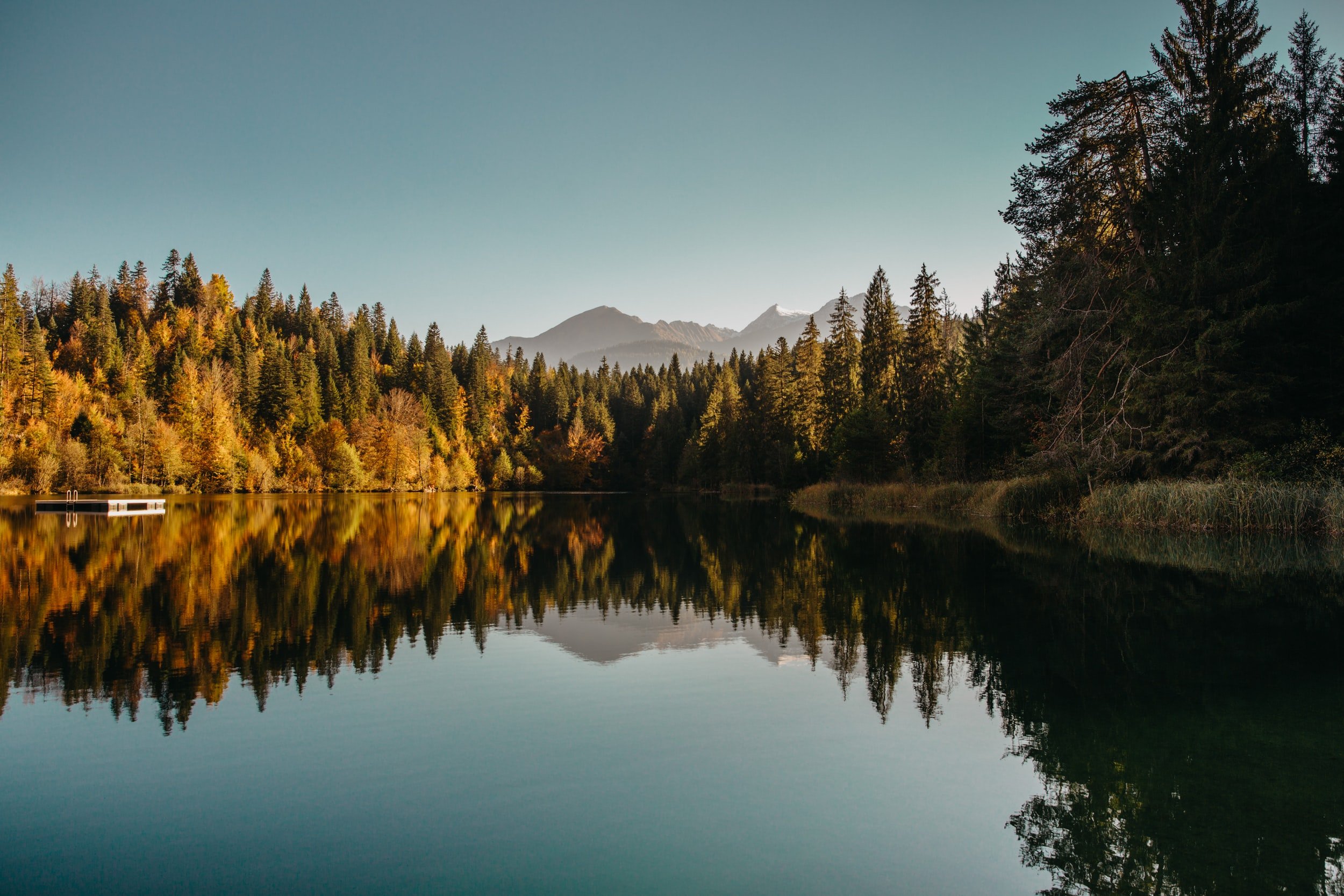 unsplash-image-PiYJ8jCWSlU.jpg