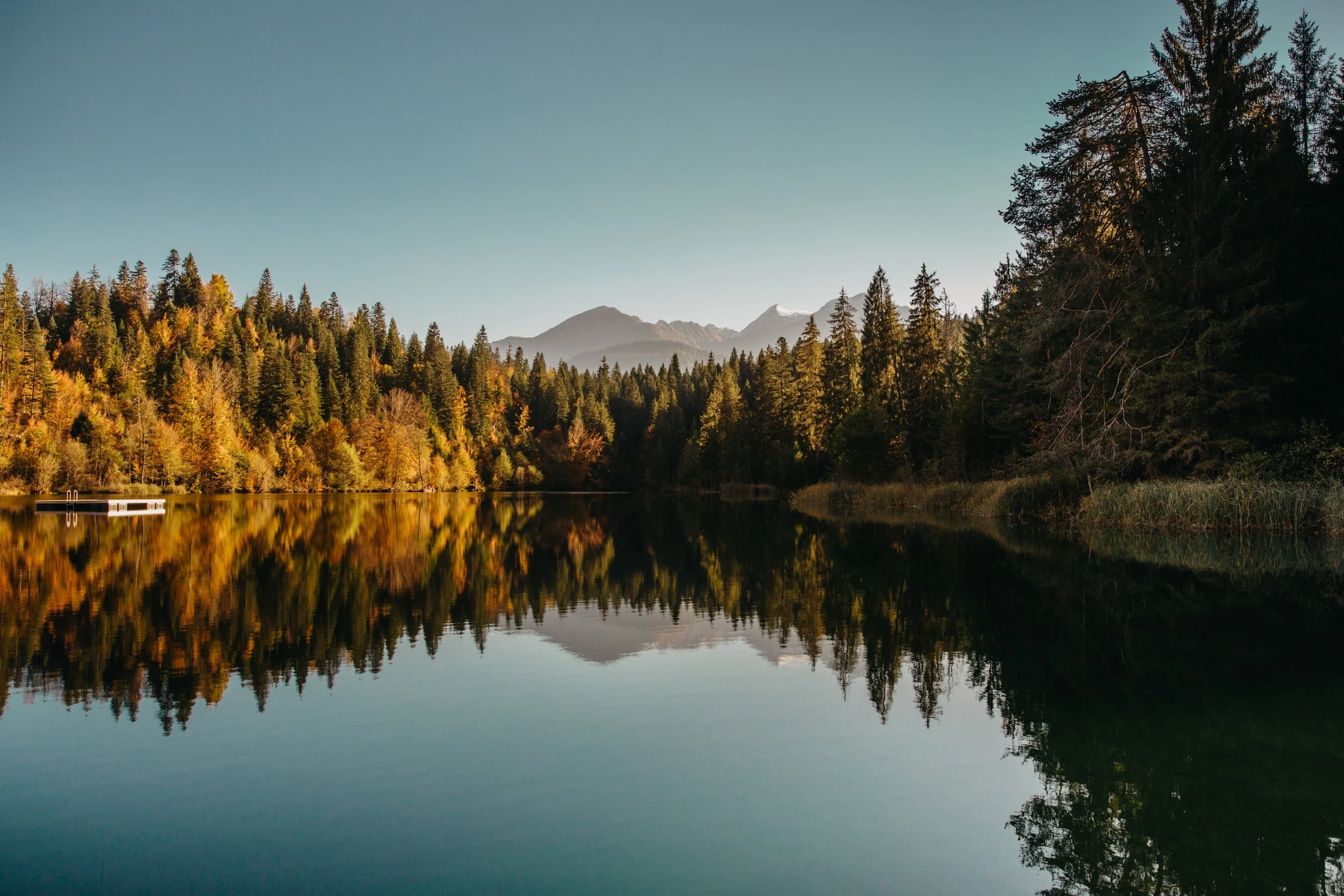 unsplash-image-PiYJ8jCWSlU.jpg