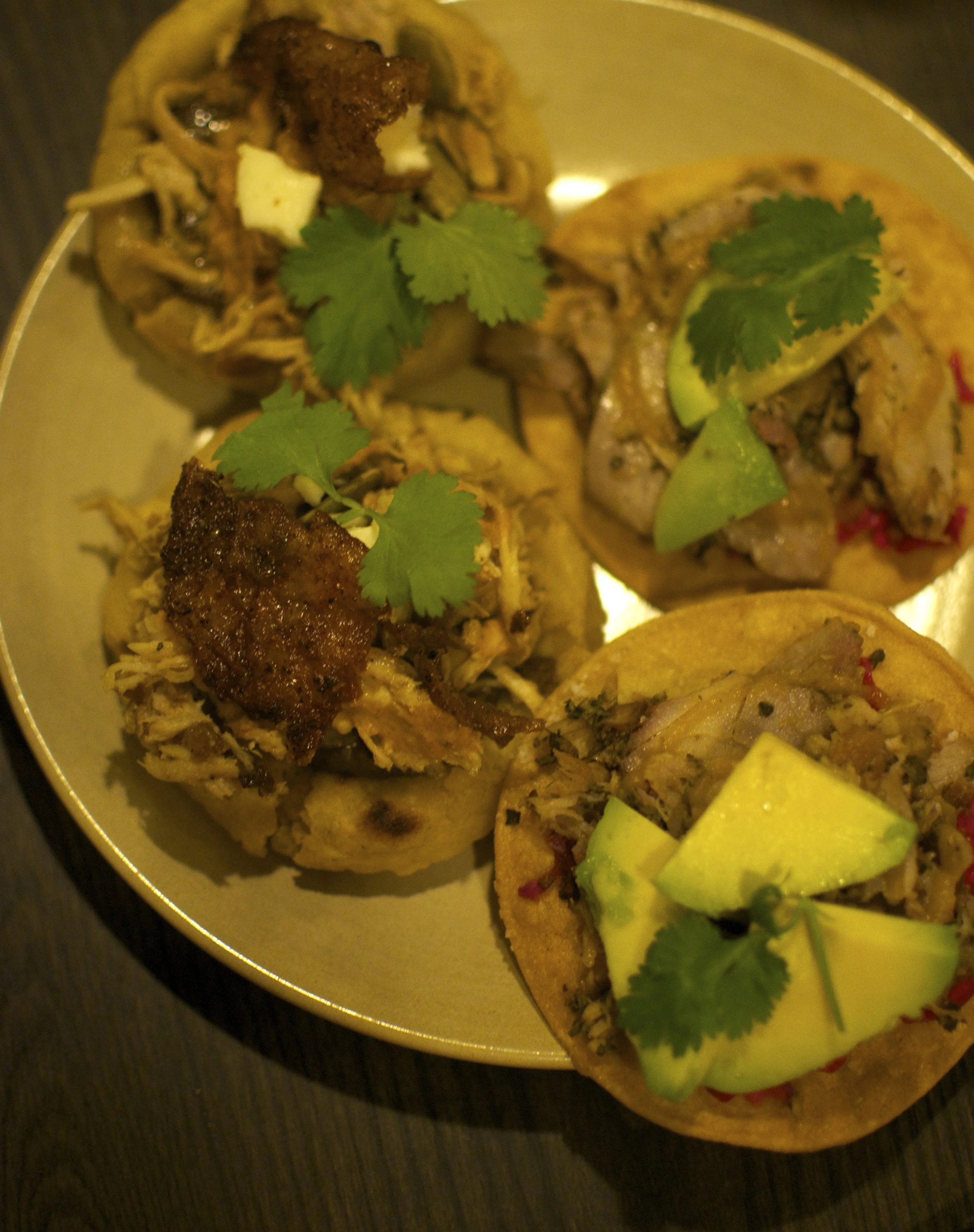 The ones on the left were masa topped with shredded chicken and glorious, crispy chicken skin. The ones on the right had sliced slow-roasted pork (same as the next pic)