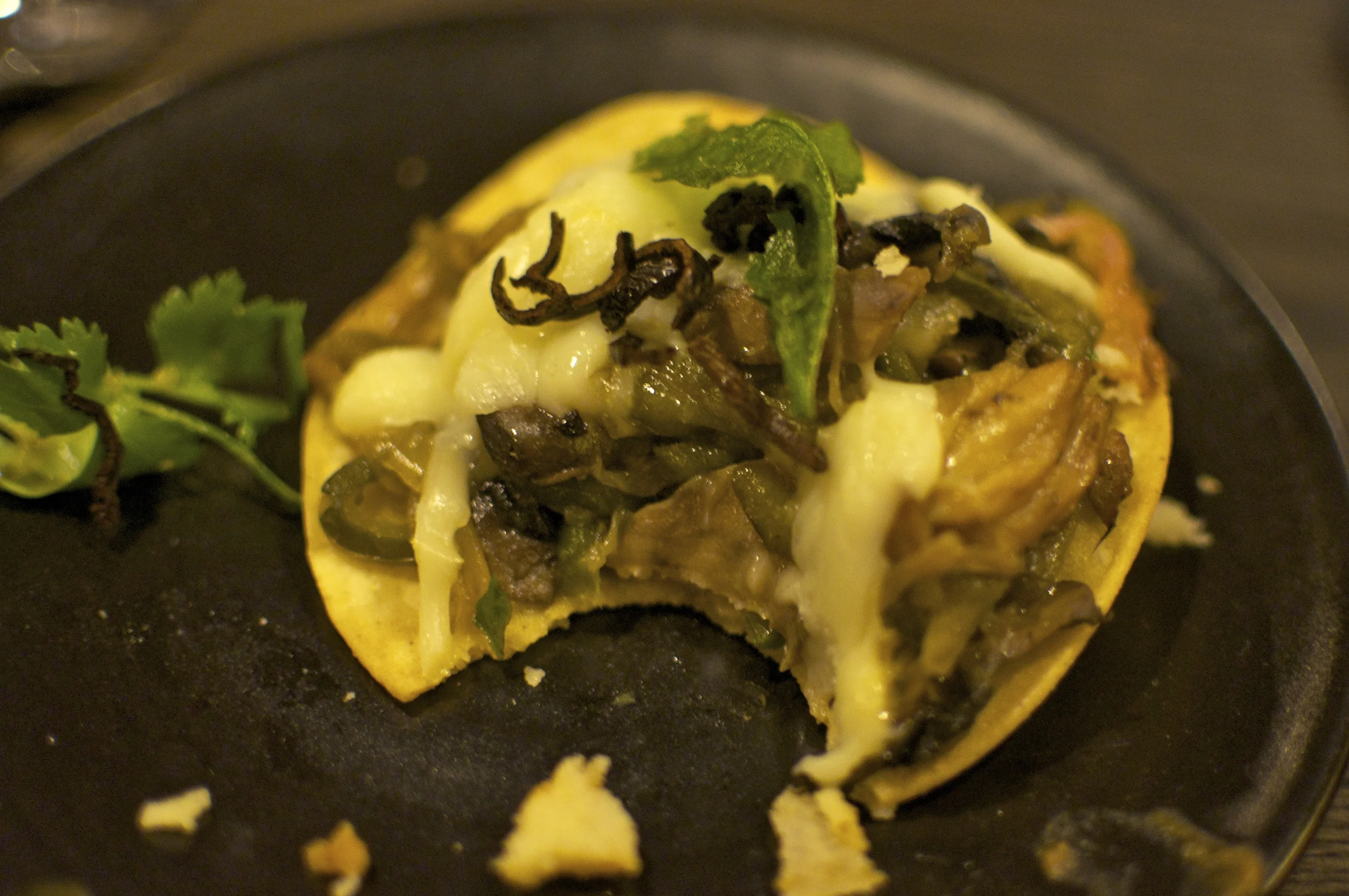 Wild mushrooms, poblano chiles, onions and cheese all melted together - a vegetarian dish that even the hungriest carnivore would enjoy. 