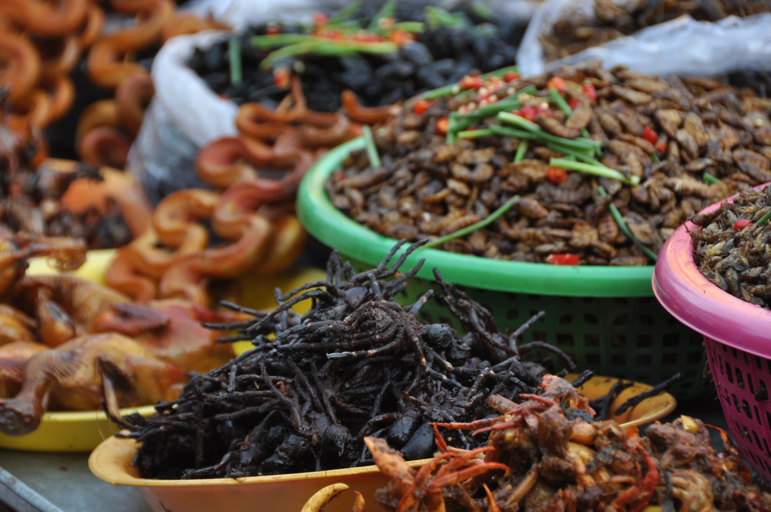 crispy-fried creepy crawlies at the street market