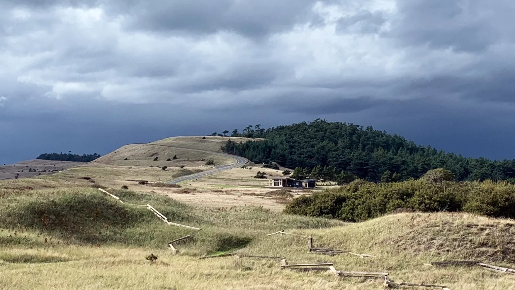 House in the Landscape - Cropped More.jpg