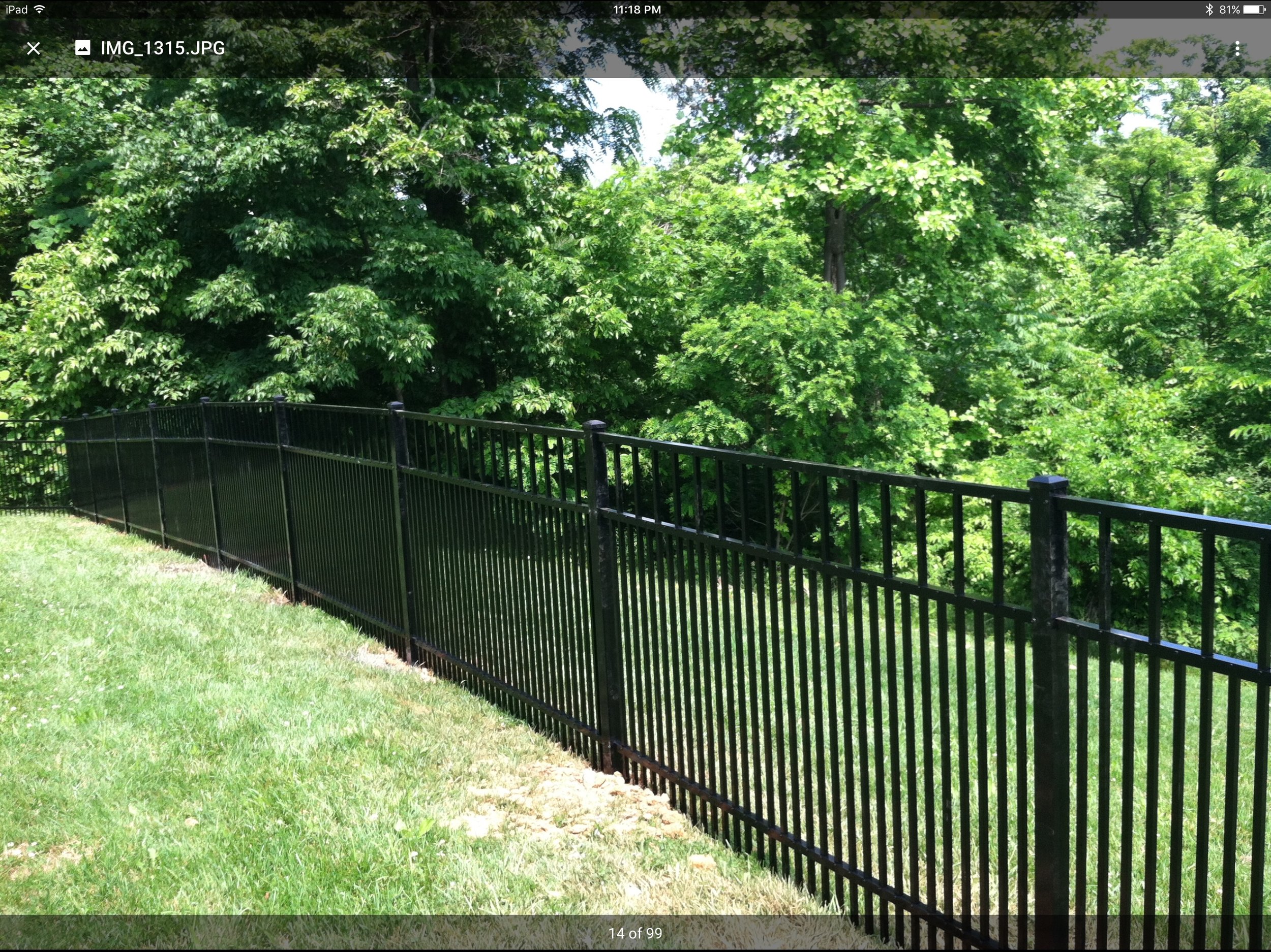 Black aluminum with 1-1/2" picket spacing to keep your small dogs contained