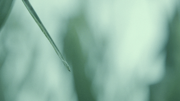Untitled-13.gif