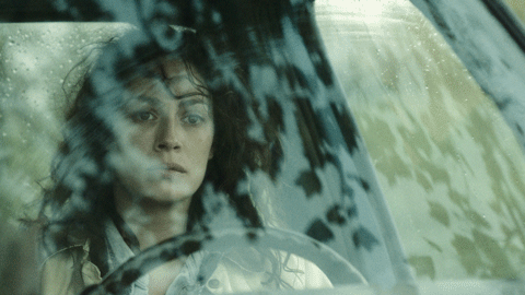 bettywindshield.gif